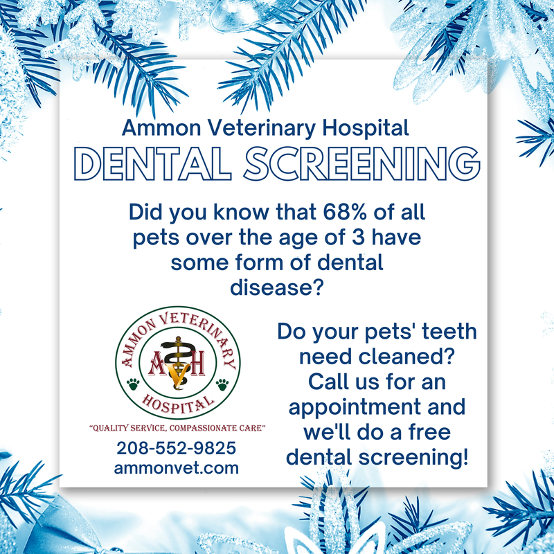 $25 off coupon for Ammon Veterinary Hospital